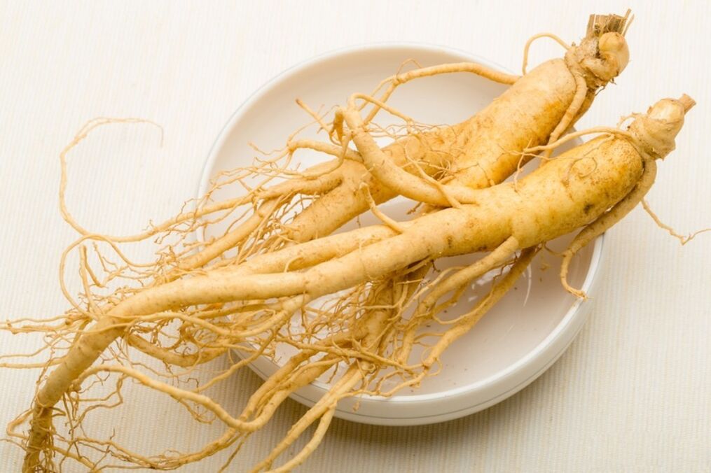 Tá fréamh ginseng mar bhunús le tincture a mhéadaíonn an bod